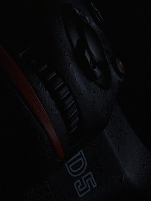 D5D 1599 crop