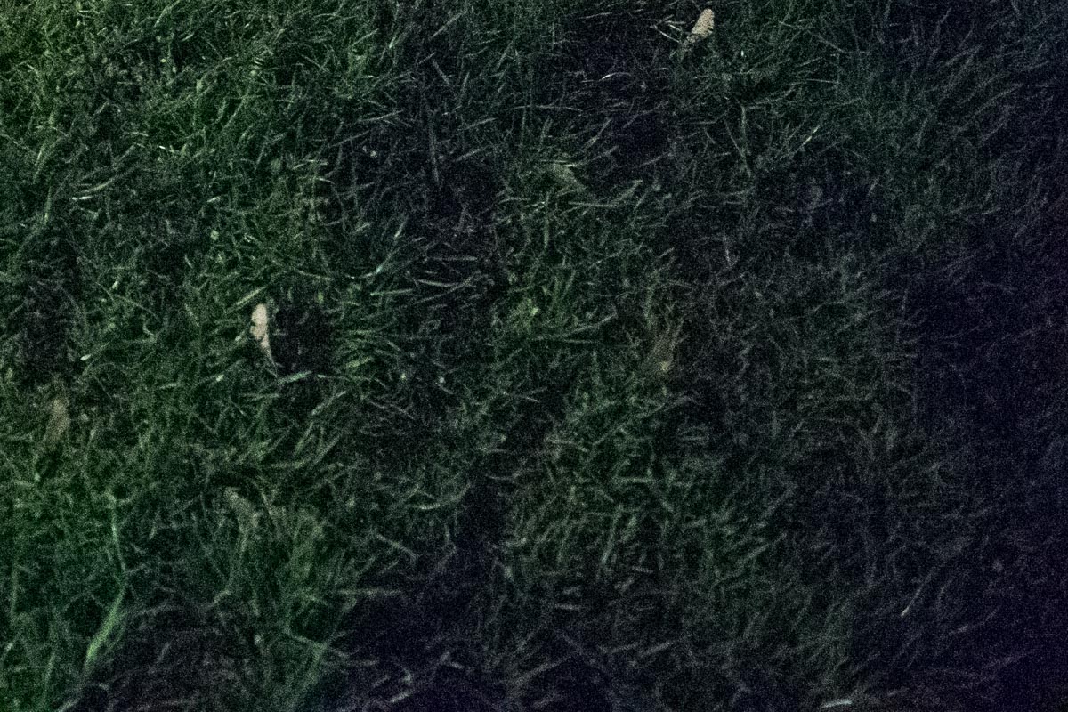D5D0313 3