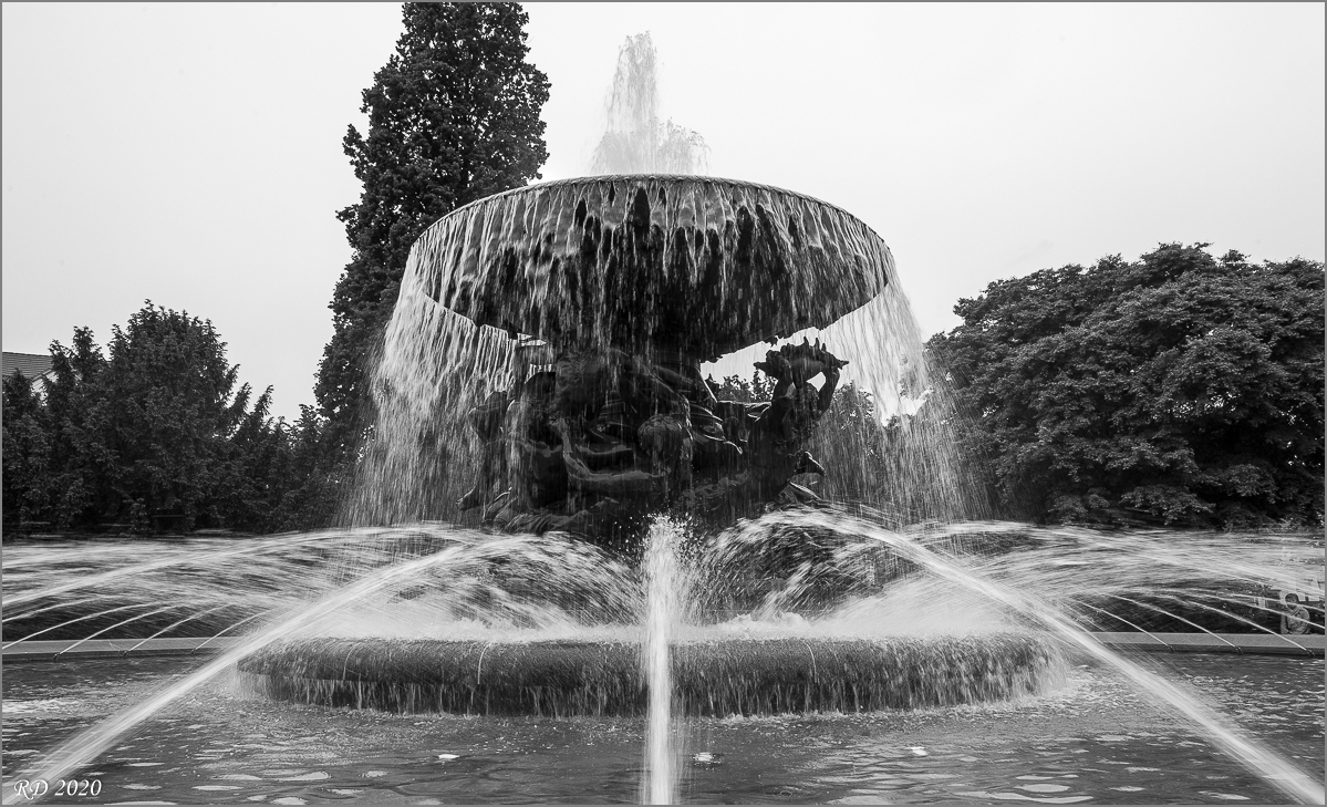 D60_2789.jpg