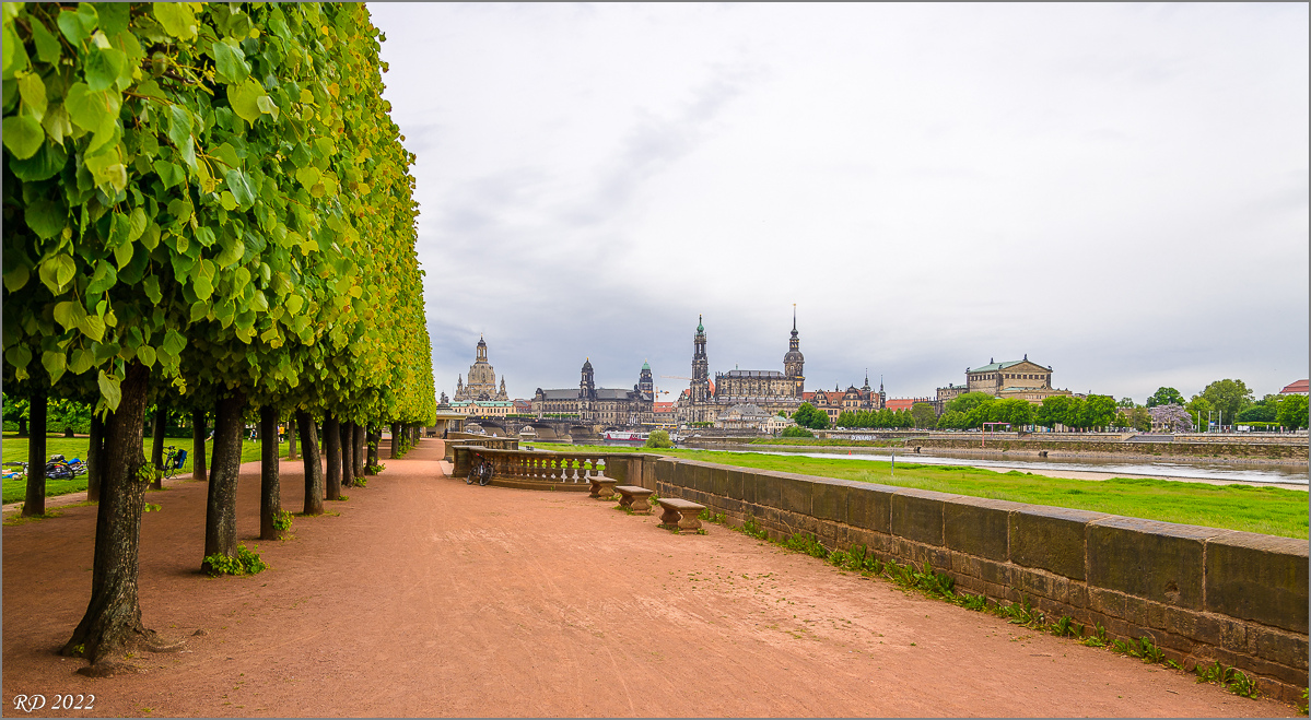 D60_2808.jpg
