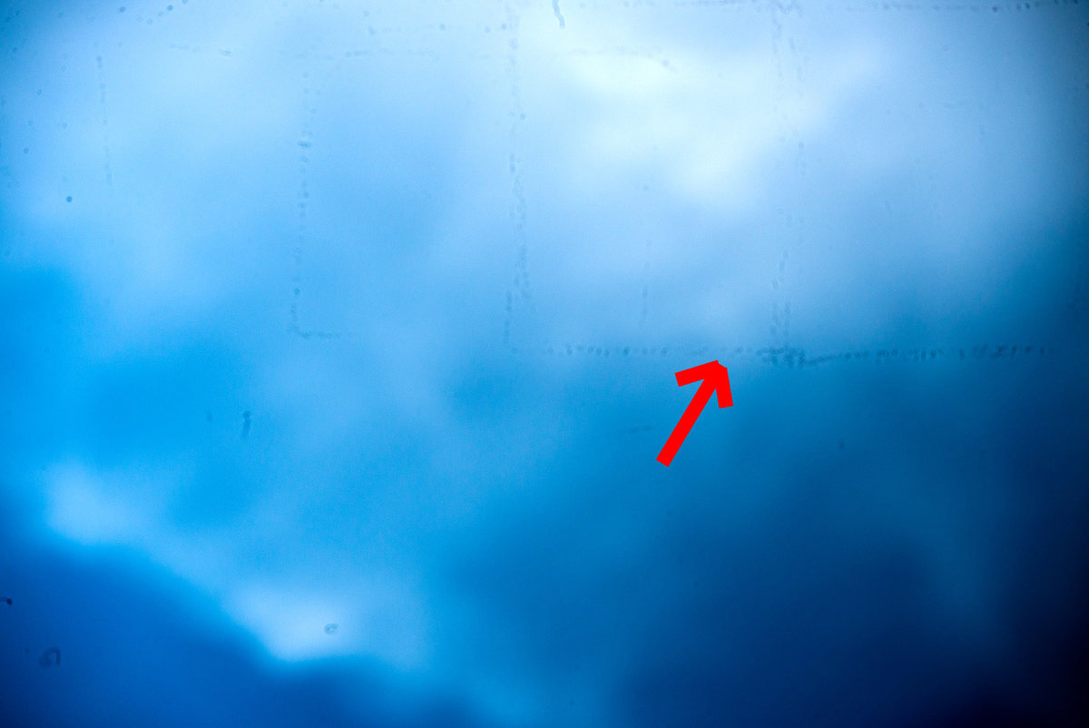 D61_0388.jpg