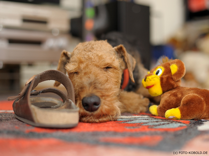 D700, 50/1.4, f=2