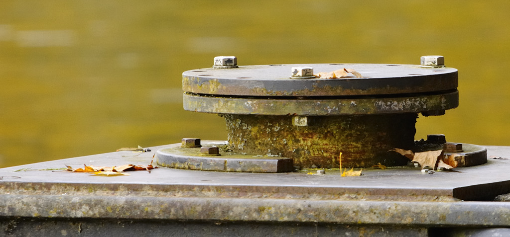 D700 Sigma 150-500 mit 2xKonv. 1000mm freihand mit OS