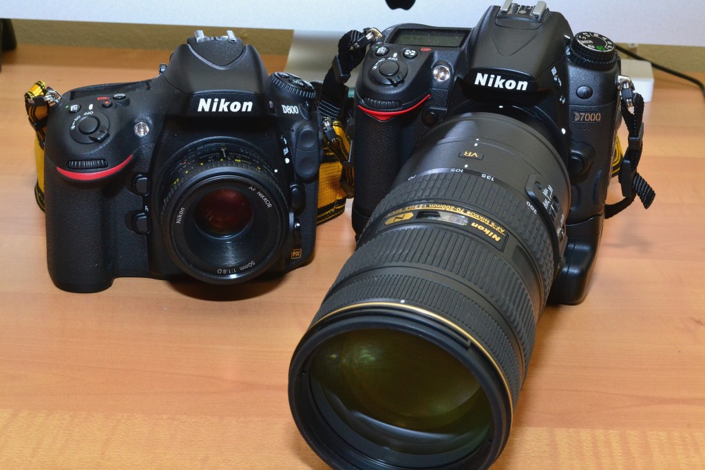 D7000 vs. D800