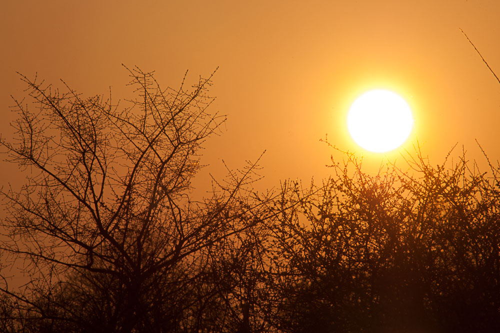 D70s und 300mm f4 AF