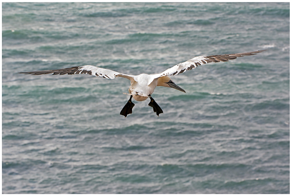 D71 0921 und ab auf das Meer