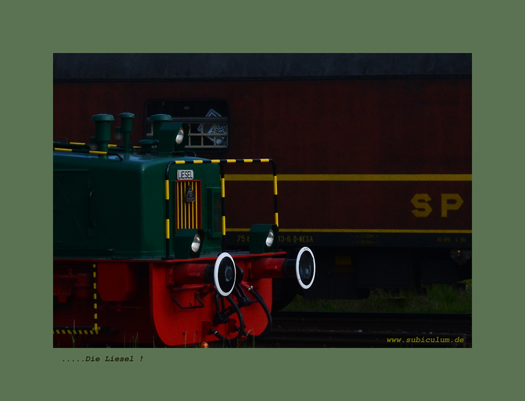 D71 1846 v1 nikon

  Die Liesel