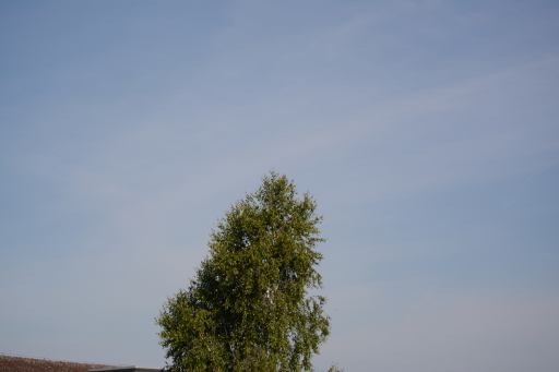 D7100