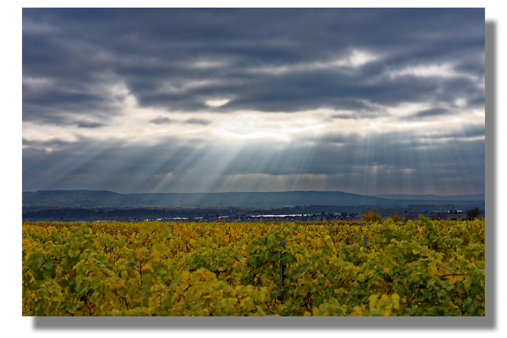 D72 1098 DxO 1000px