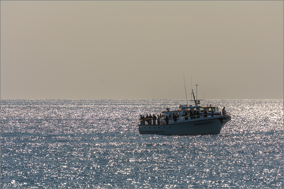 D72 4565