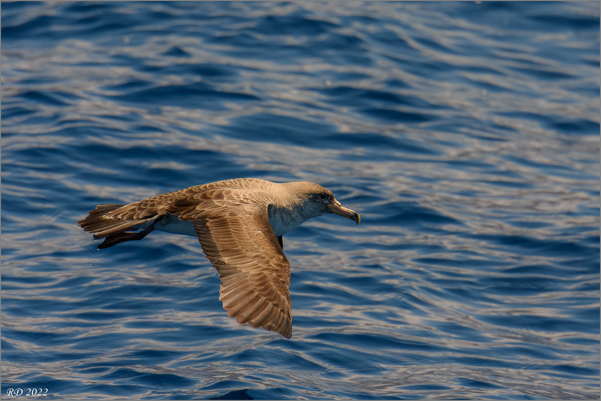 D72_0390.jpg