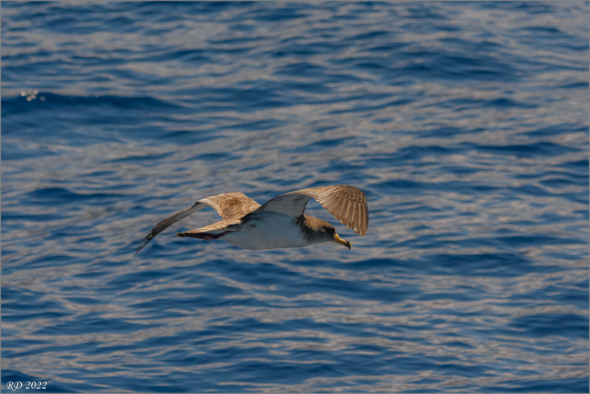 D72_0400.jpg