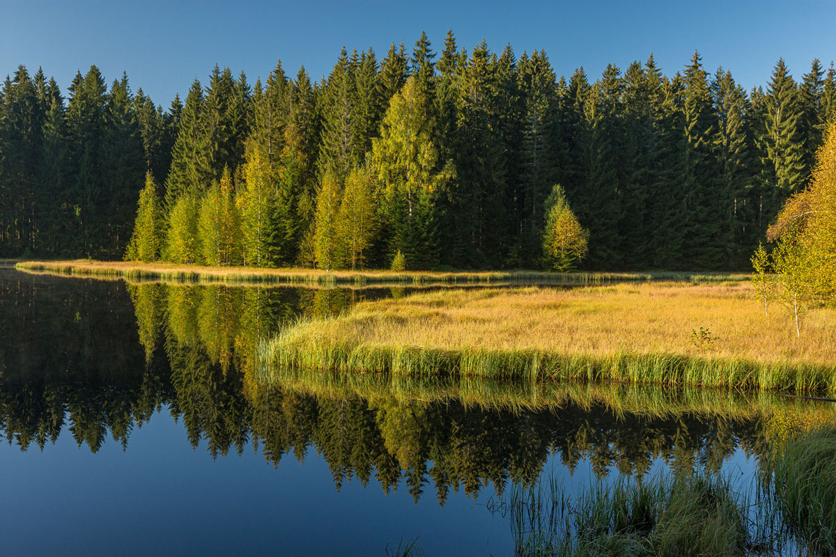 D72_0407.jpg
