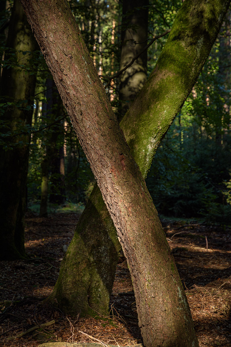 D72_0527.jpg