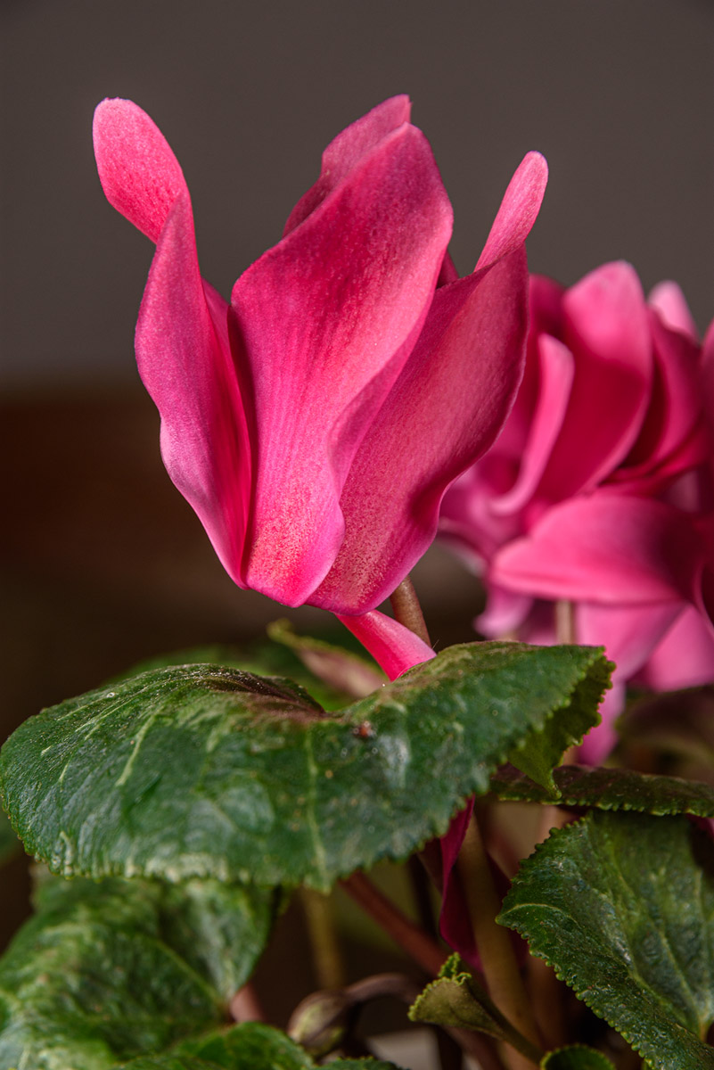D72_0804.jpg