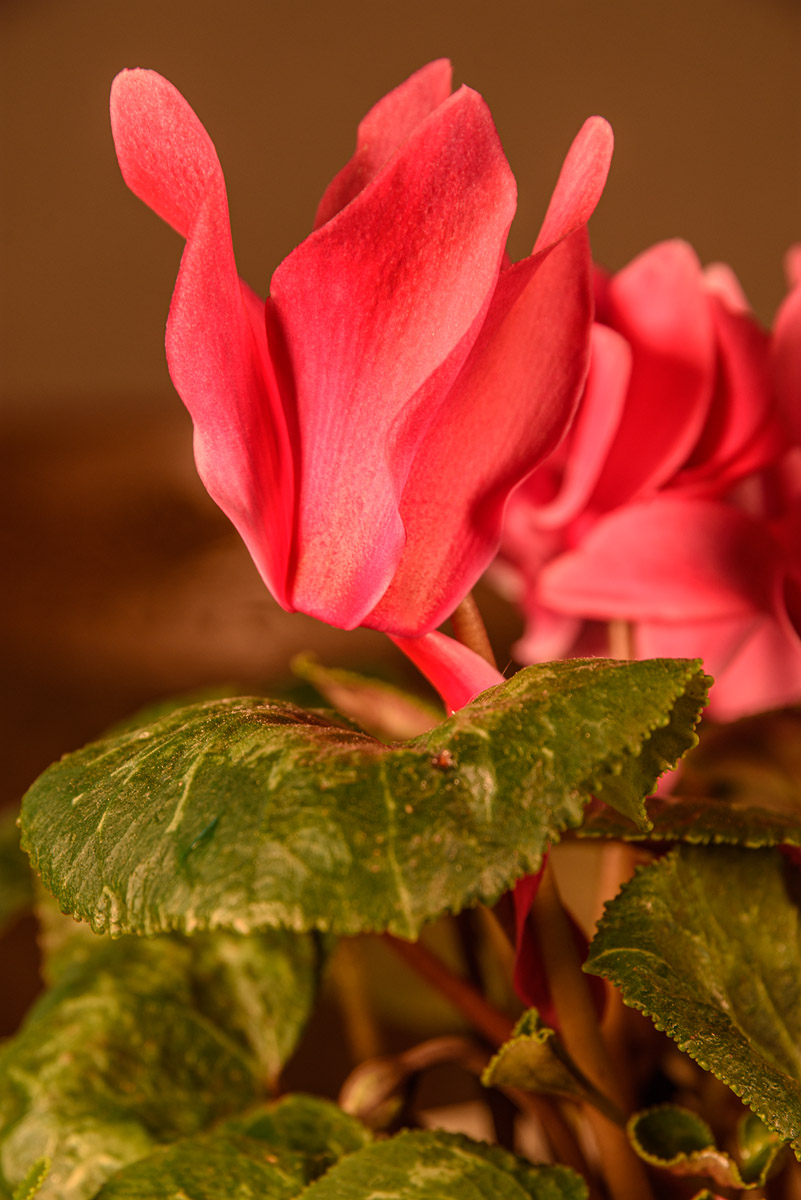 D72_0805.jpg