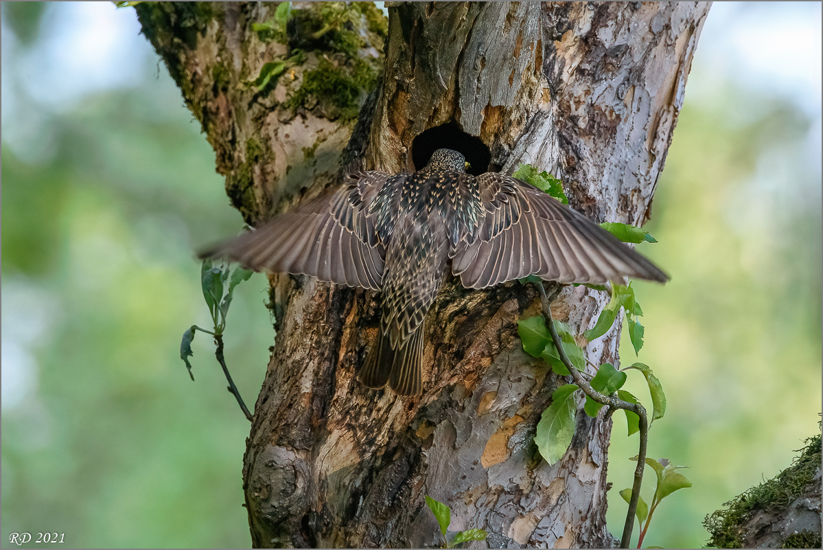 D72_1301-Bearbeitet.jpg