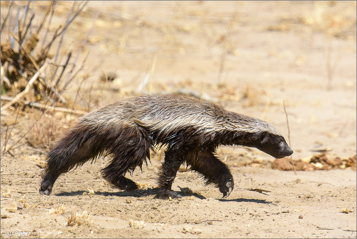 D72_1450-Bearbeitet.jpg