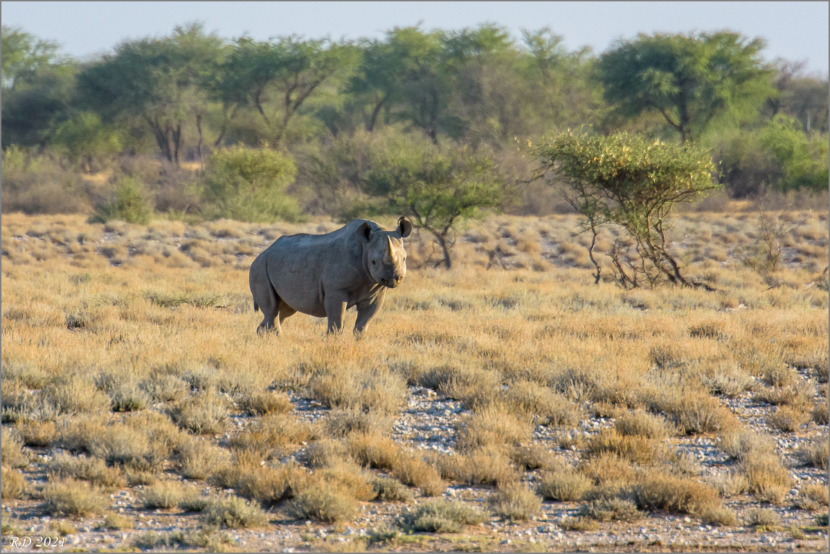 D72_4482-Bearbeitet.jpg