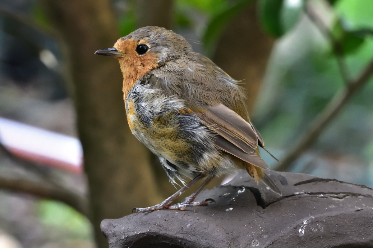 D72_4880.jpg