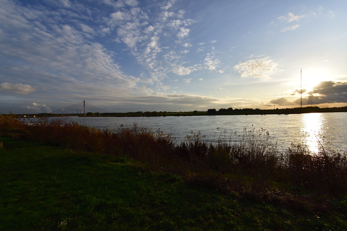 D72_5032.jpg