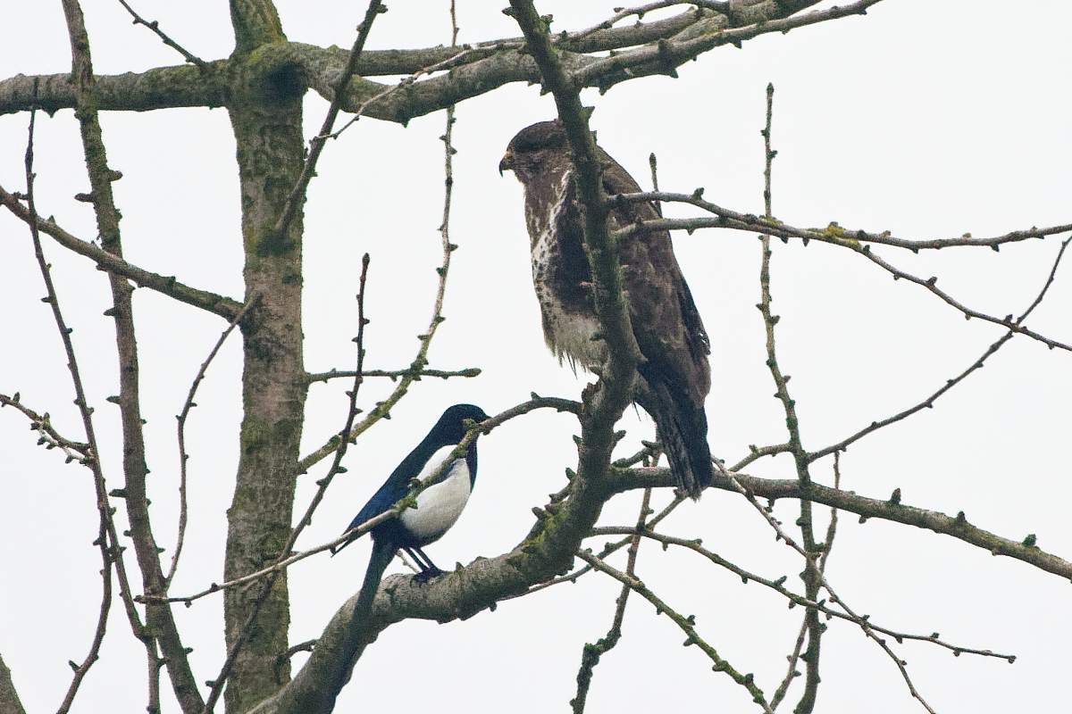 D72_5390_DxO.jpg