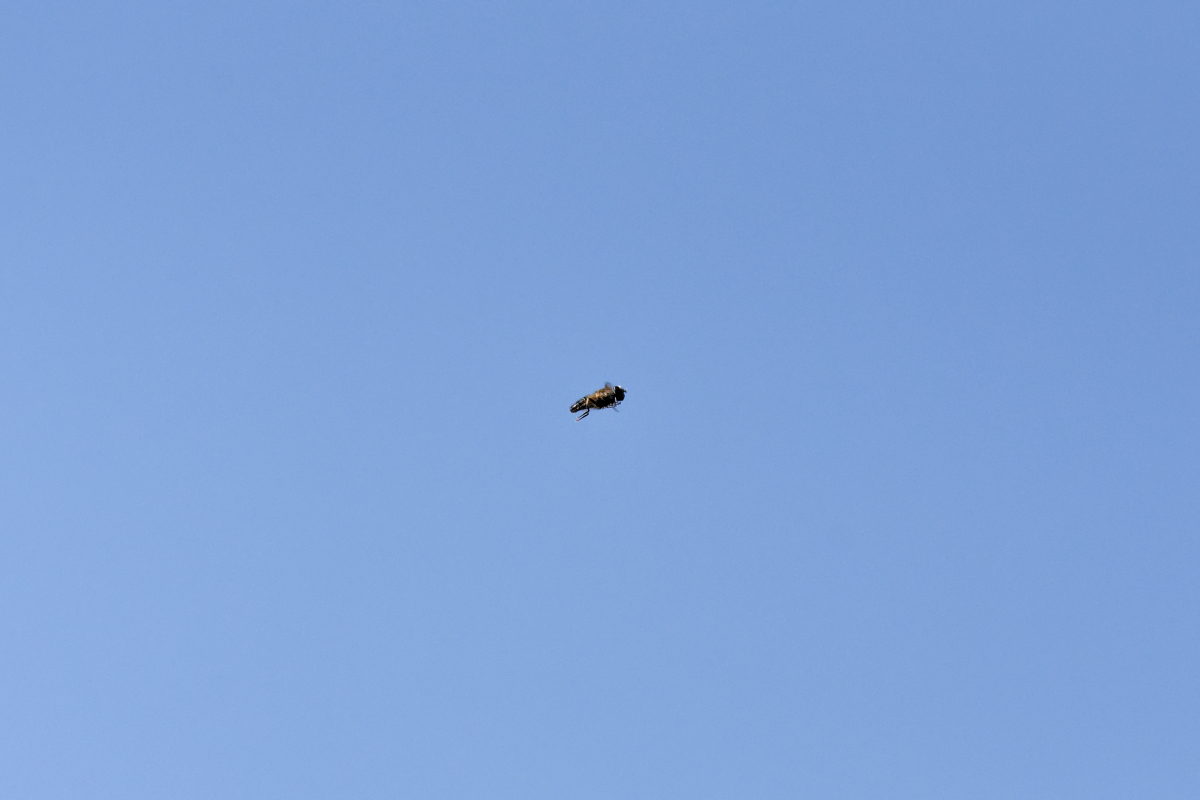 D72_5535_DxO.jpg