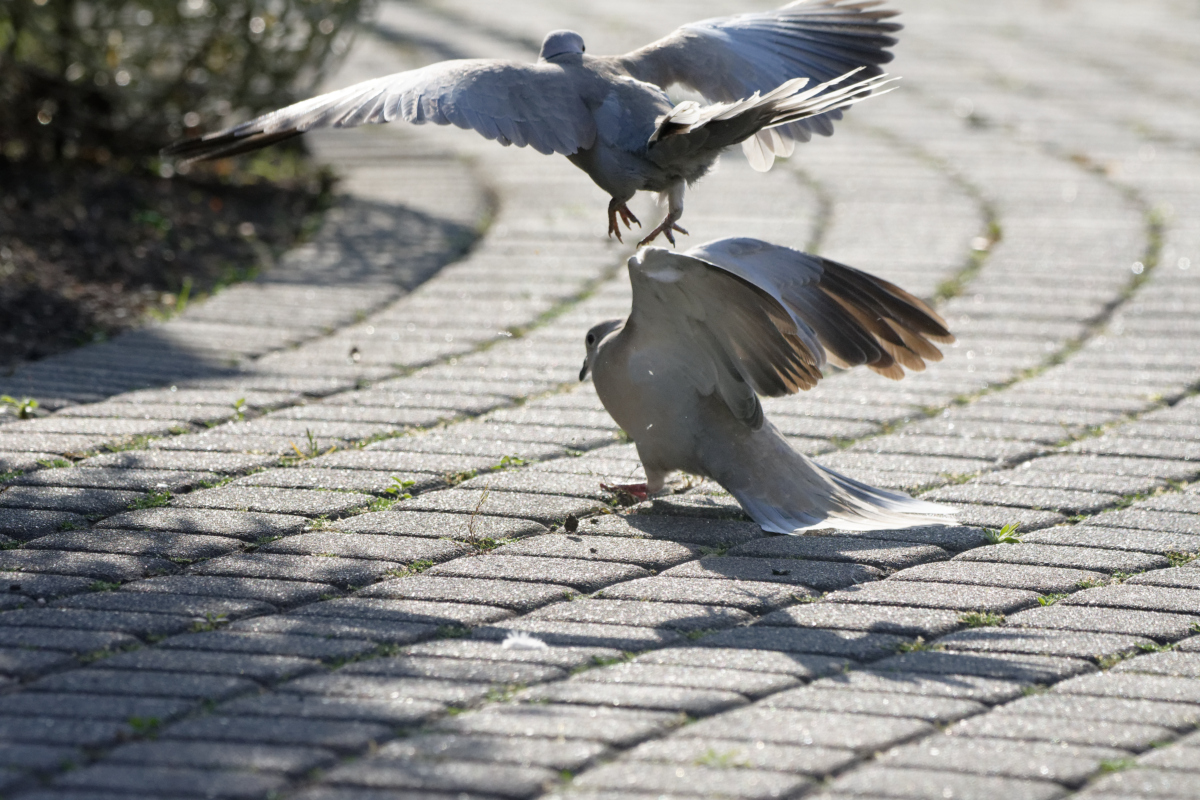 D72_5720_DxO.jpg
