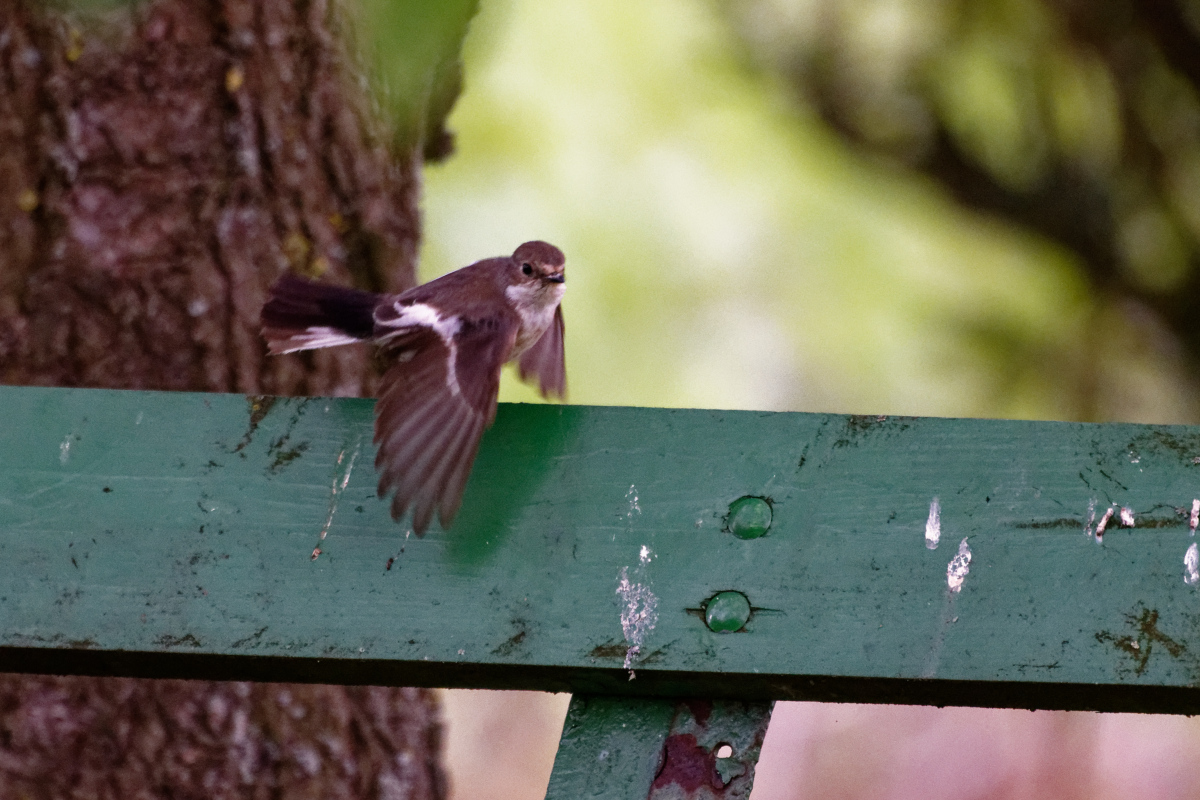 D72_5805_DxO.jpg