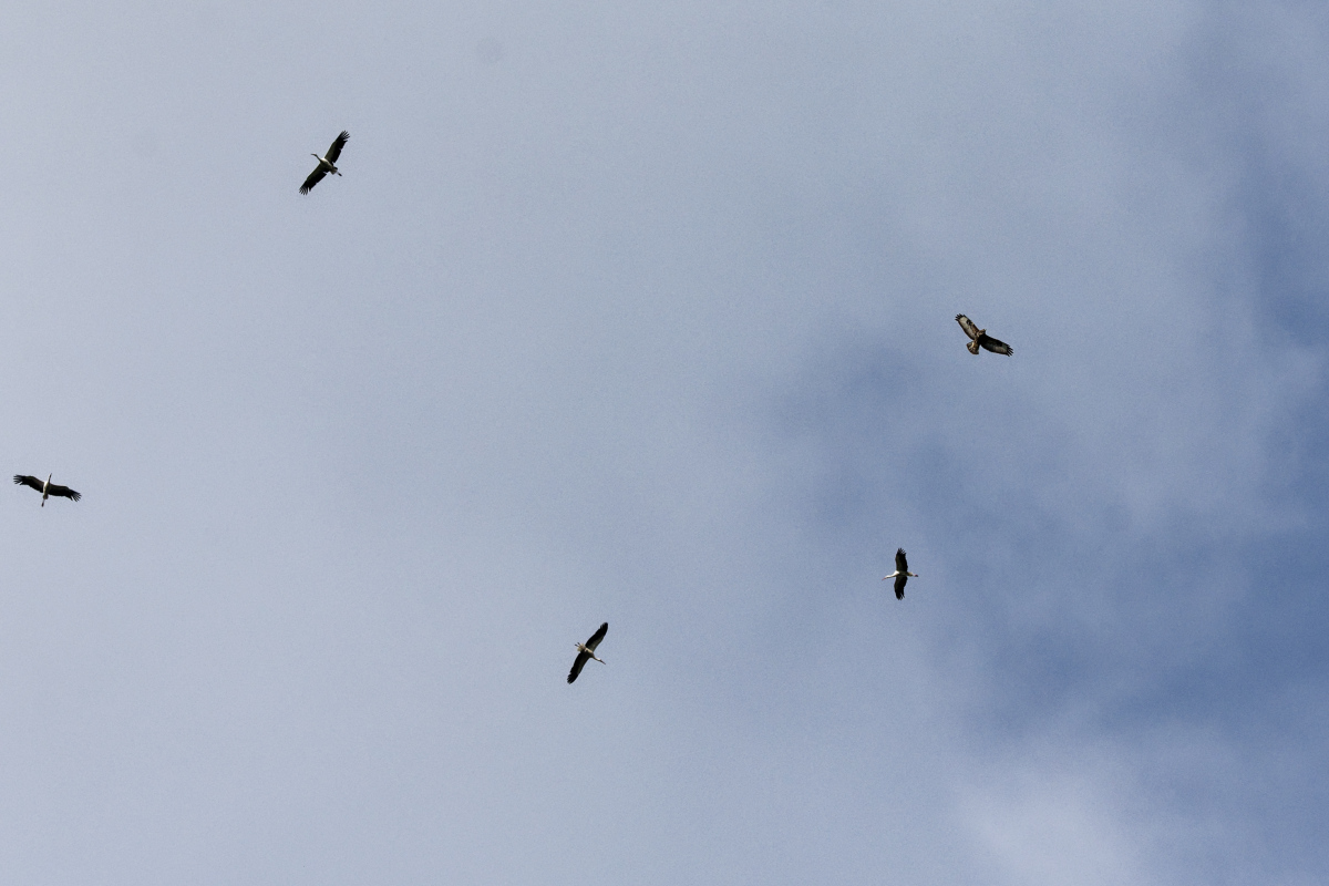 D72_5891_DxO.jpg