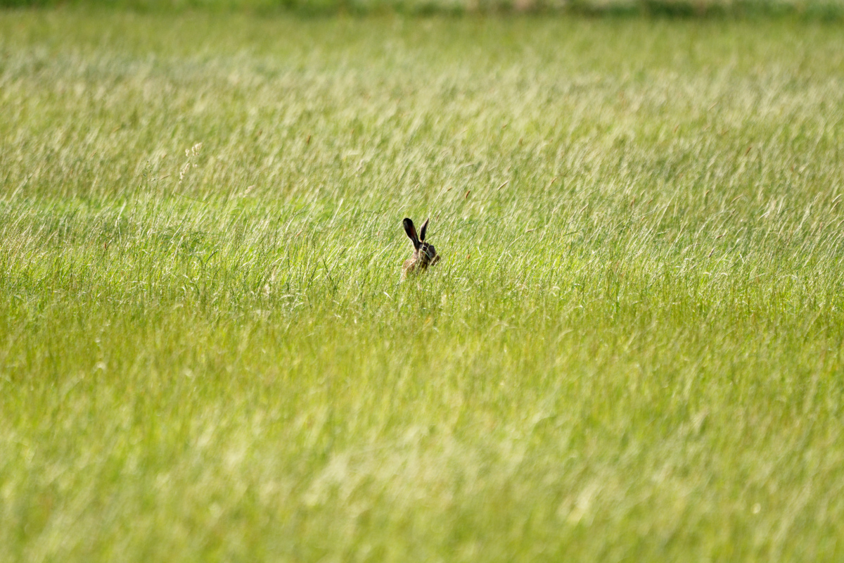 D72_5912_DxO.jpg