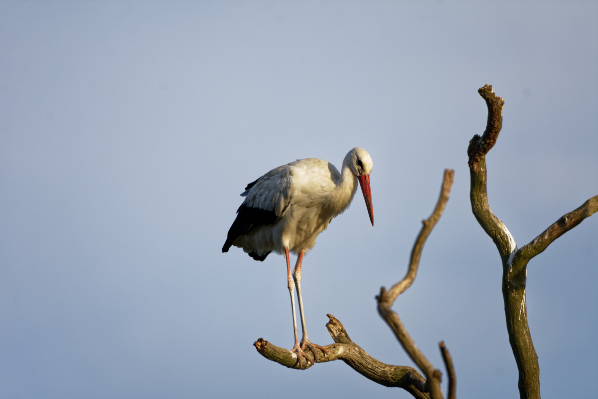 D72_5959_DxO.jpg