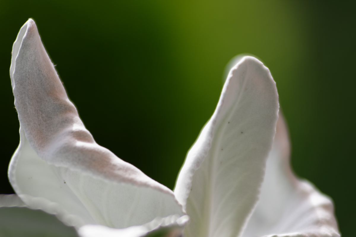 D72_6165_DxO.jpg