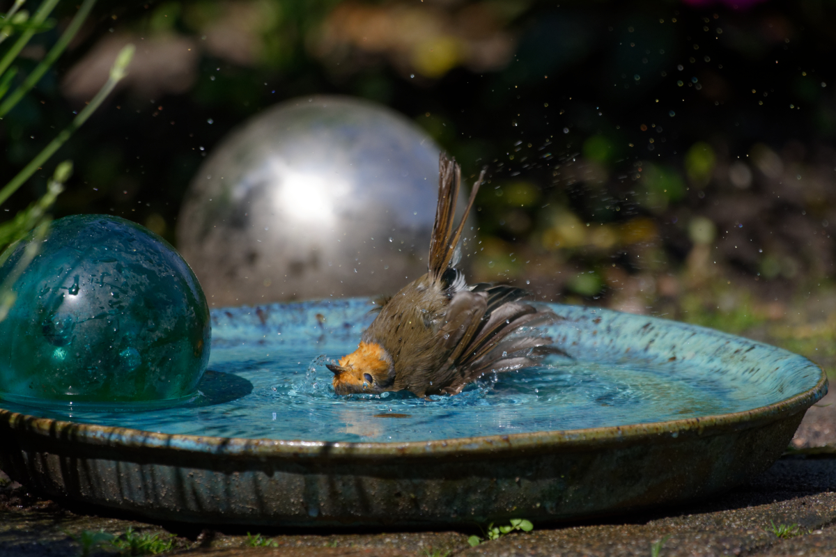 D72_6307_DxO.jpg
