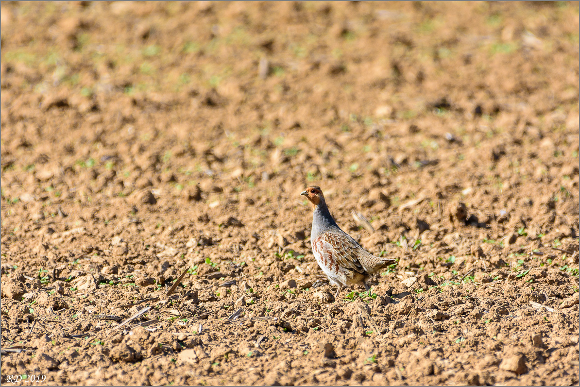 D72_8179.jpg