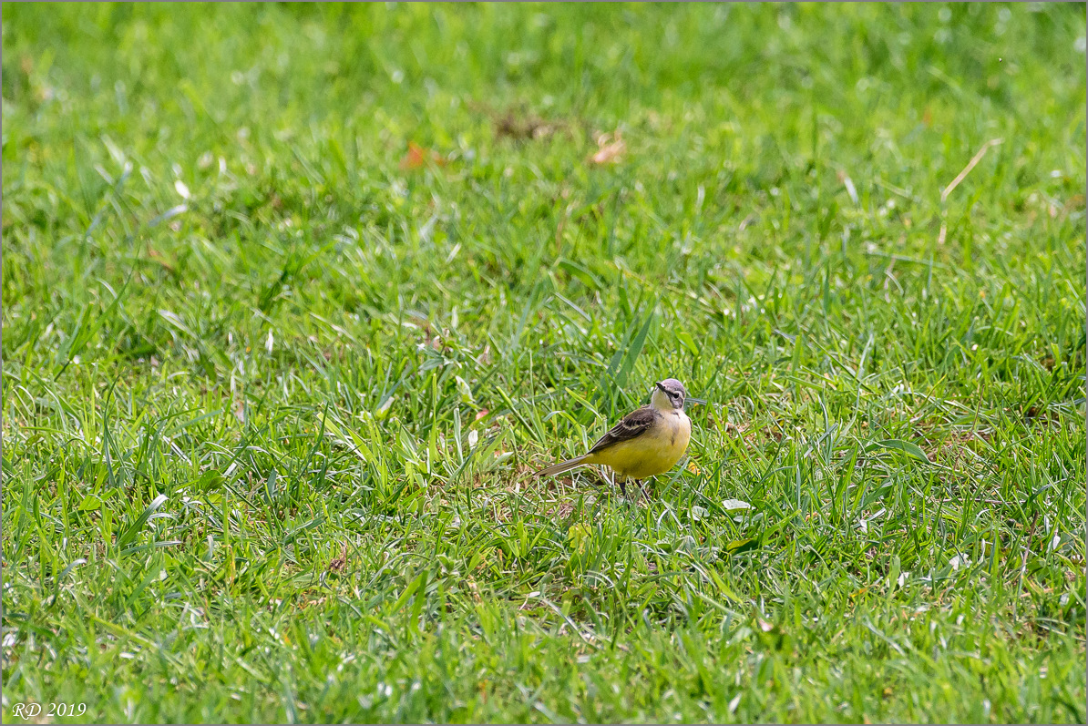 D72_8368.jpg