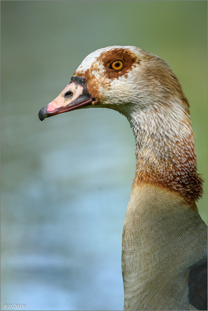 D72_8409.jpg