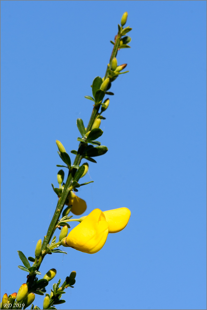 D72_8501-2.jpg