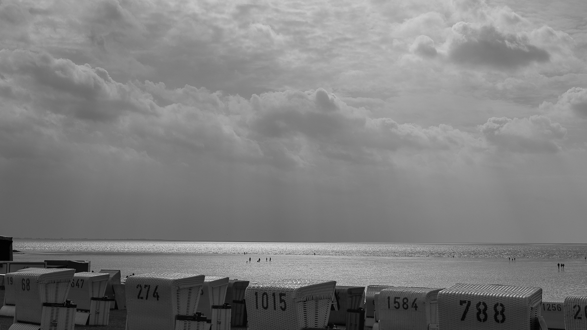 D75 0051x