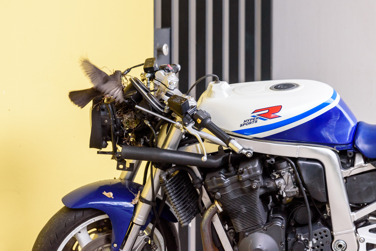D75 4330