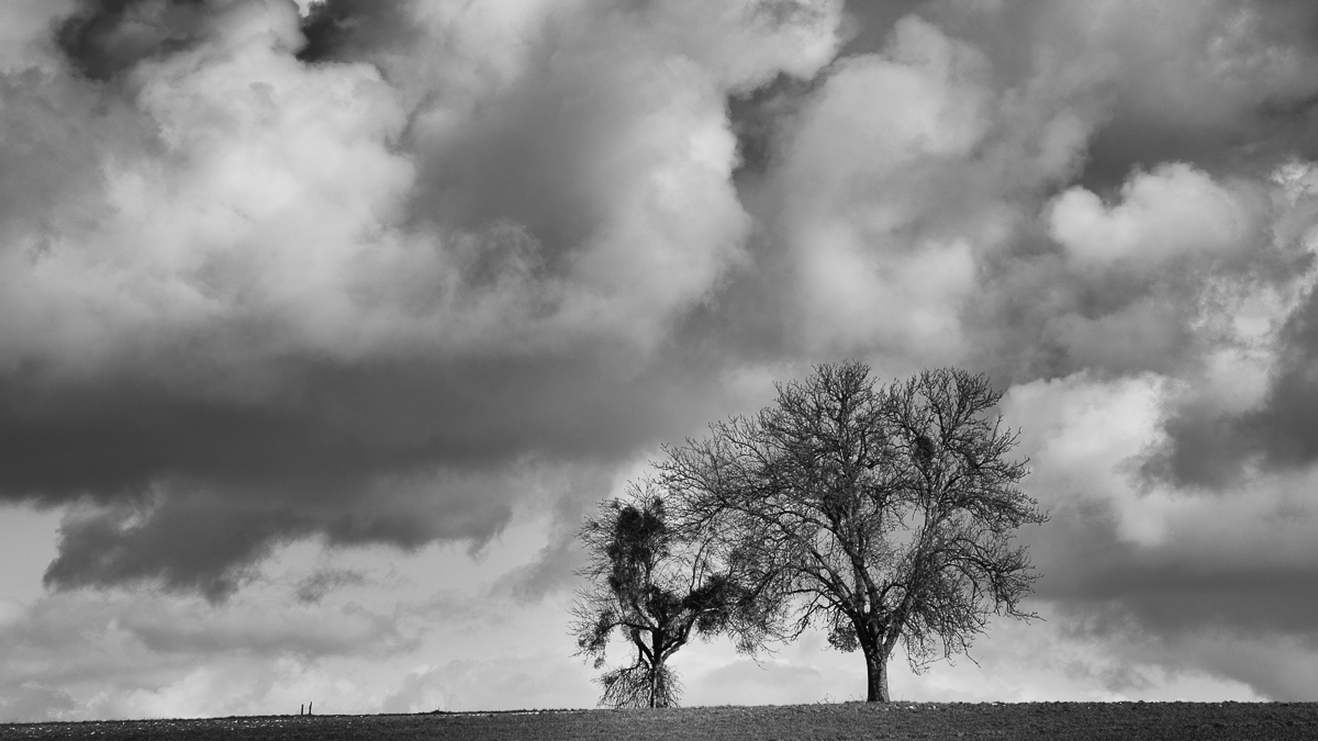 D75 4796 _Saargau_x