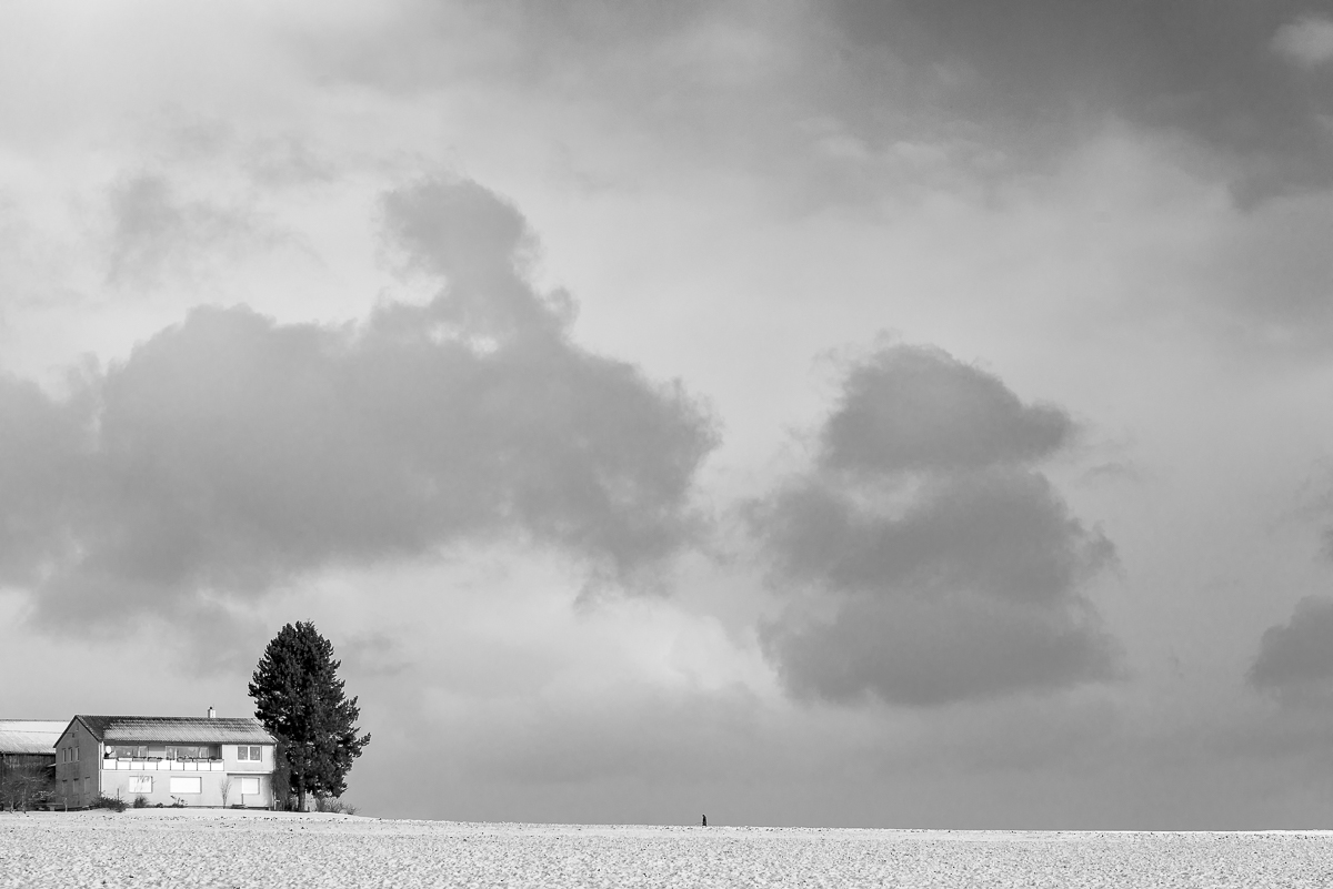 D75 7201