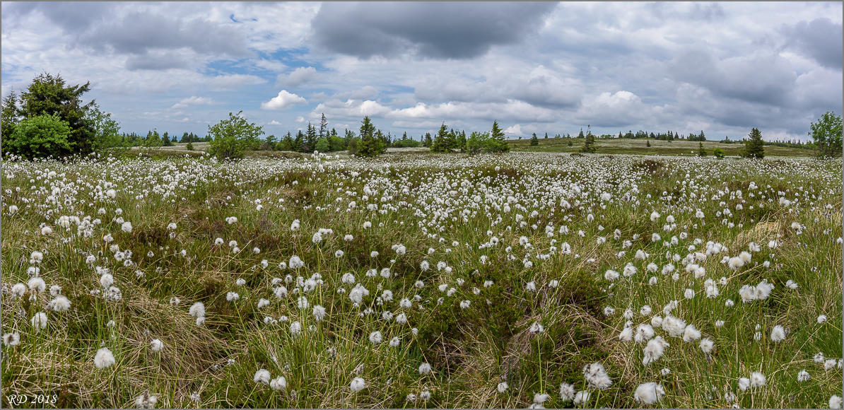 D75 8853 Pano