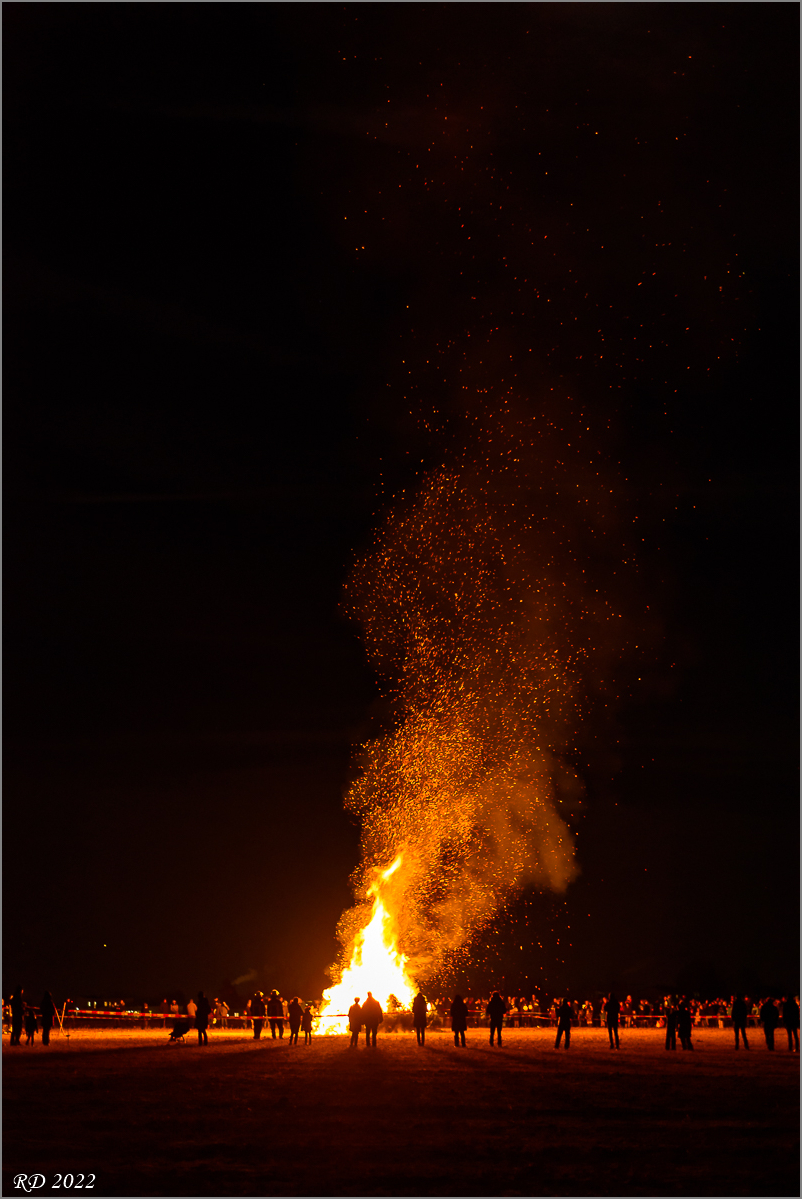 D75_0110.jpg