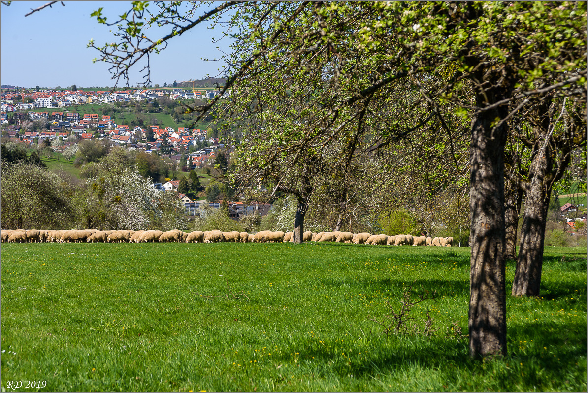 D75_0189.jpg