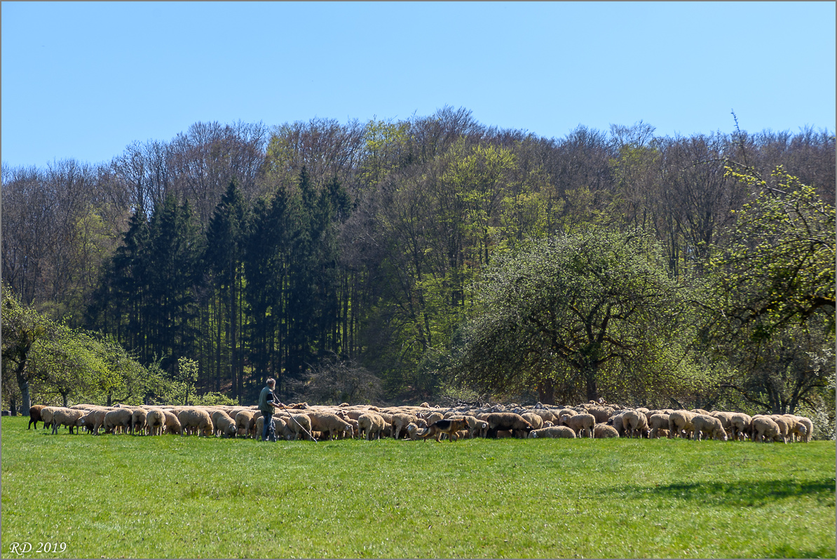 D75_0199.jpg