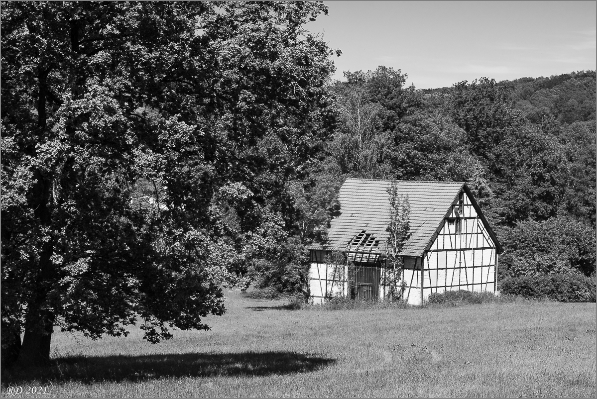 D75_0208.jpg