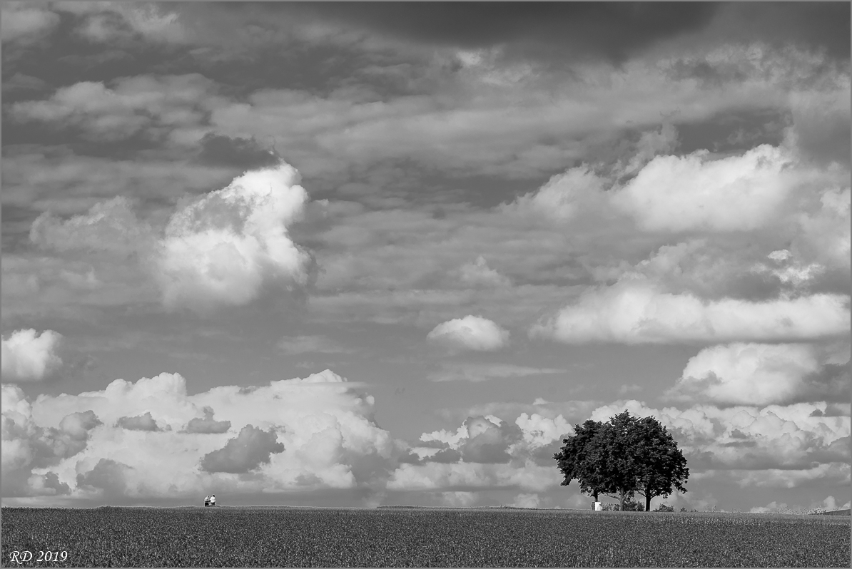 D75_0314.jpg