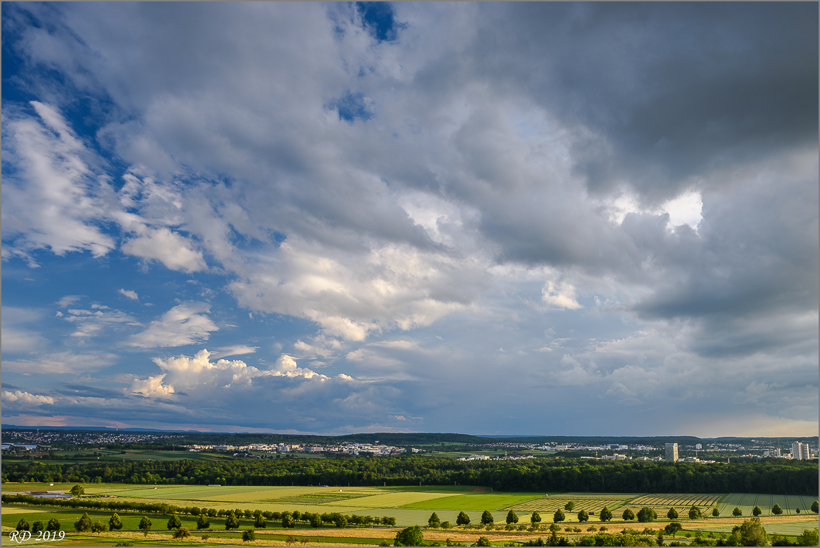 D75_0373.jpg