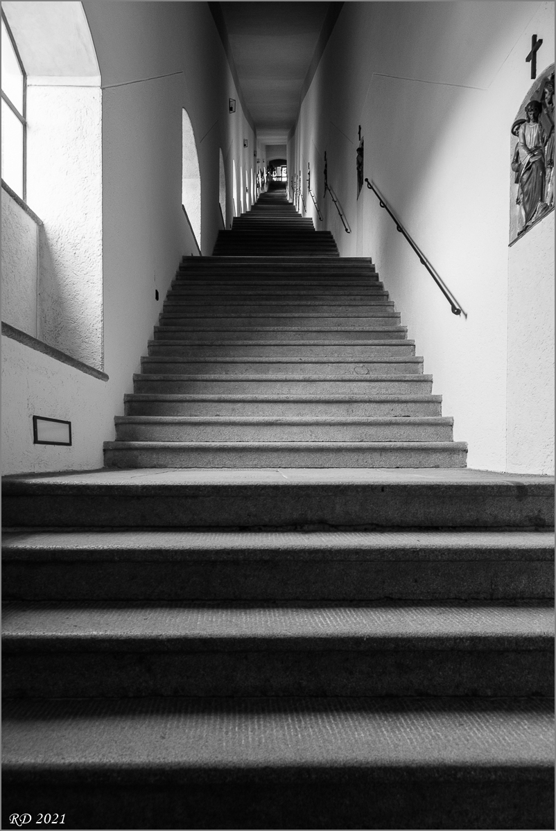 D75_0513.jpg